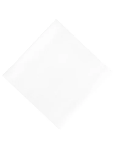 Serviettes déjeuner ouate blanches compostables Duni 400mm (lot de 750)