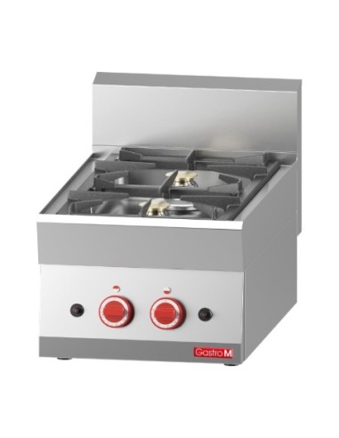 2 feux vifs gaz à poser Gastro M 65/40 PCG